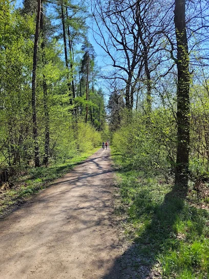 Las Zwierzyniecki